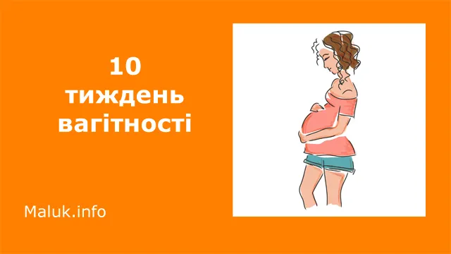 10-й тиждень вагітності