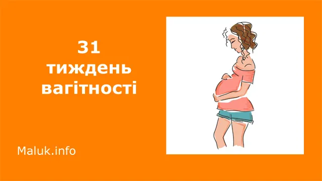31st week of pregnancy